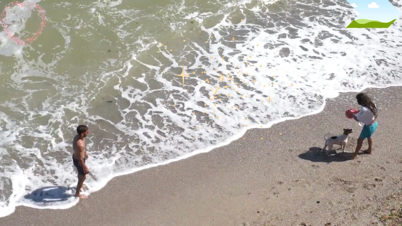 "Ocean Whispers: Paws and Affection on the Shoreline"