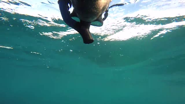 Filmación panorámica capta la intensidad del buceo en una cueva submarina