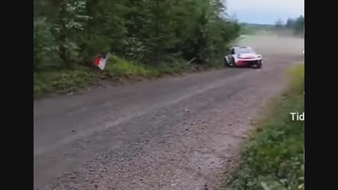 WRC P6