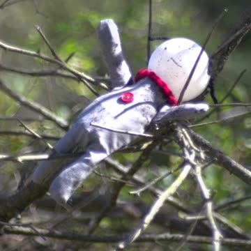 Your Broken Rows Lead Us Past Teeth