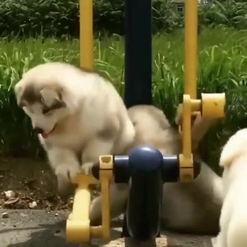 Oops! I did it again.