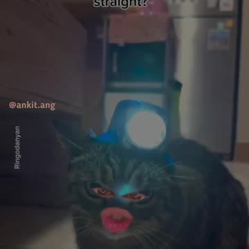 mamuli chor uchakka samjh raha hai | Bangad Billa | #2shots #shots #angvines #ankitang