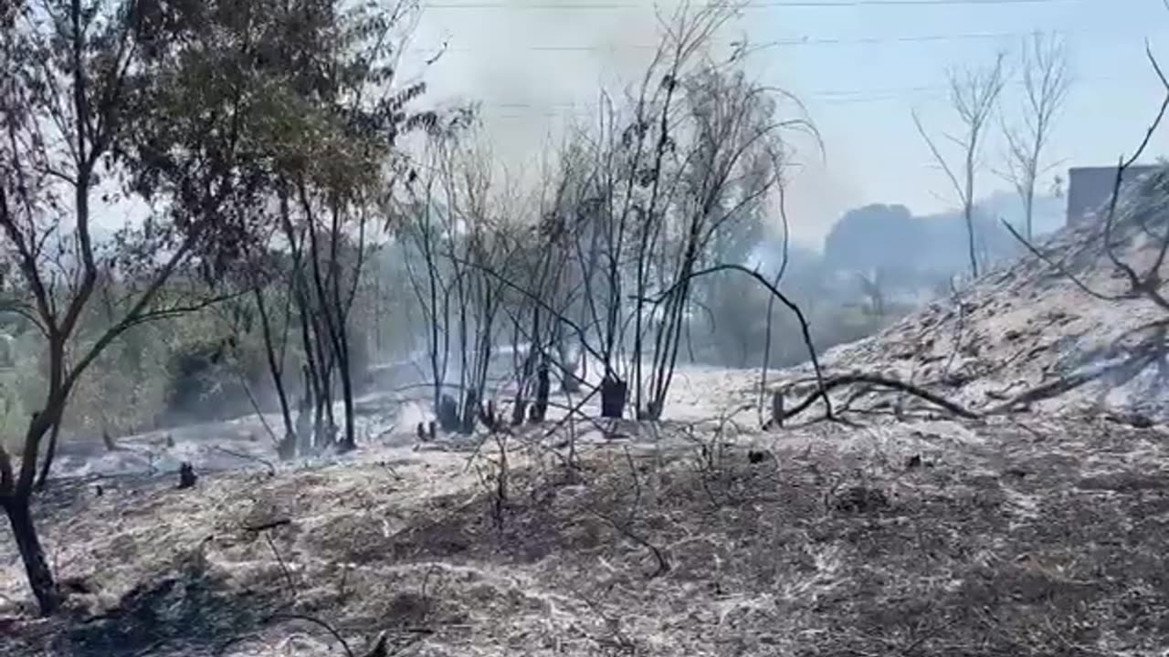 Zjarri