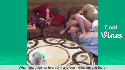 Try not to laugh challenge (funny animals