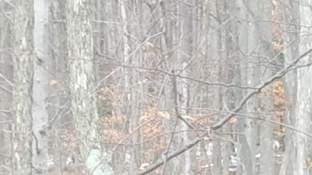 Talks with GOD 432 HZ ?? Someone becoming a satanist?