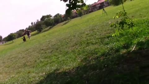 How To Make Dog Become Fully Aggressive Quickly With Few Simple Tips