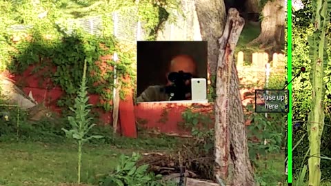 Doing yardwork with an Hatsan Jet 2 pcp airgun