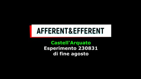 "AFFERENT&EFFERENT"