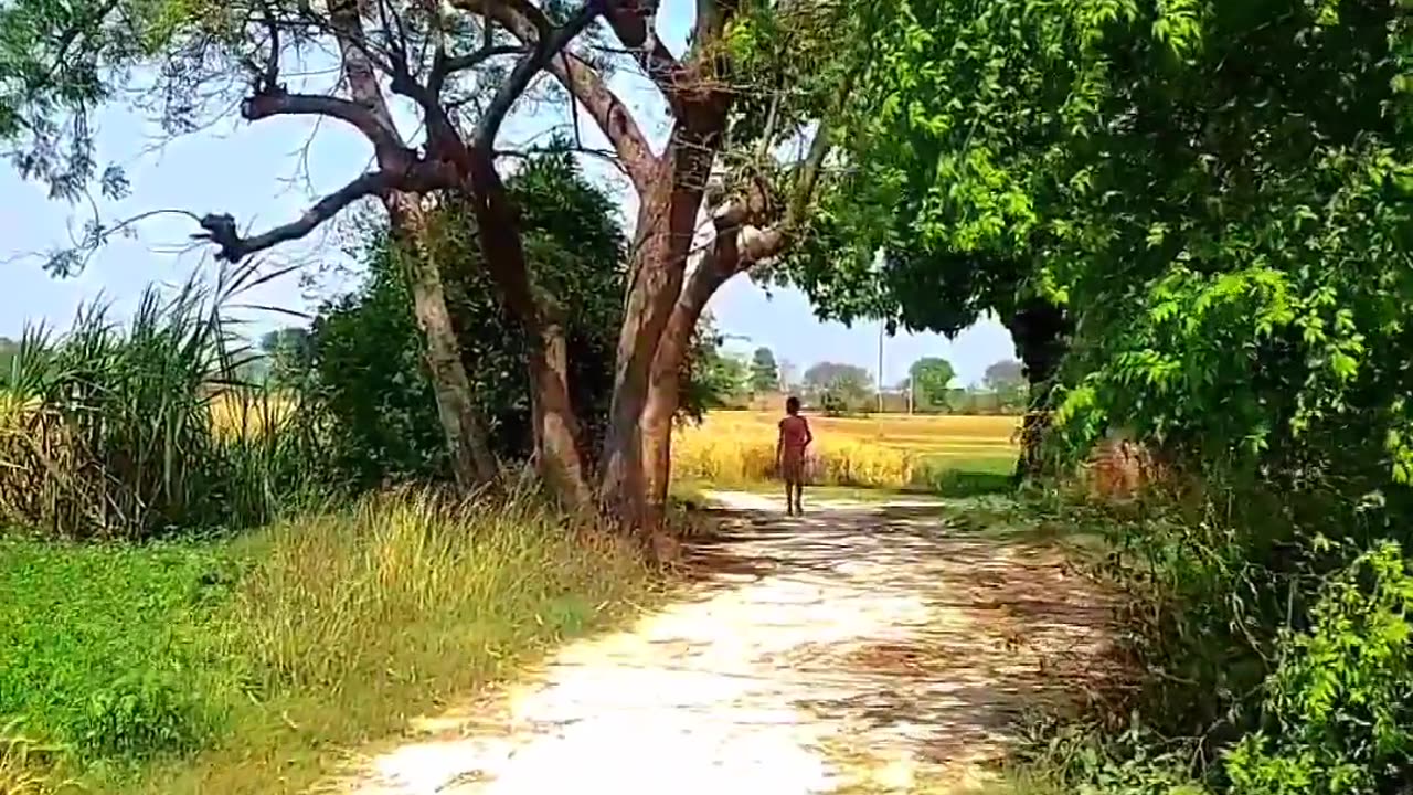 Nature ❤️