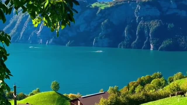 Welcome to Switzerland 🇨🇭💚 Follow For more Beautiful Videos