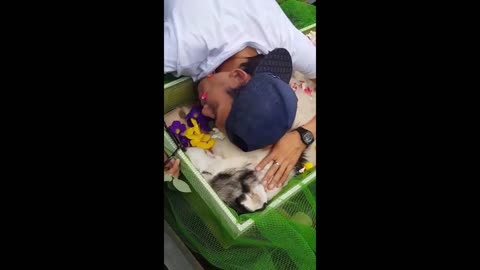 Owner Crying for Dog's Death :((((