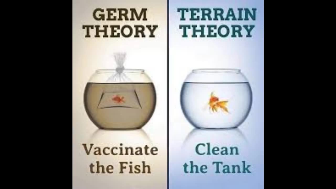 Germ vs Terrain Theory -Why Modern Medicine Is Completely Wrong