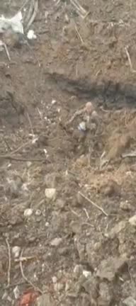 Center of Mariupol now