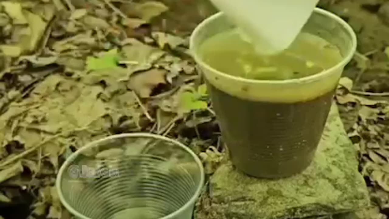 Water purification in the heart of nature Using gravity and paper towels