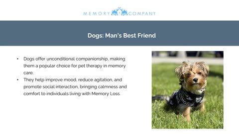 Enhancing Memory Care: Types of Pet Therapy Offered at Memory & Company