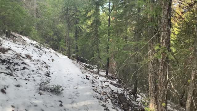 Approach to Whychus Overlook Junction – Whychus Creek – Central Oregon