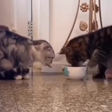 They are sharing 🥺🥺🥹🥹