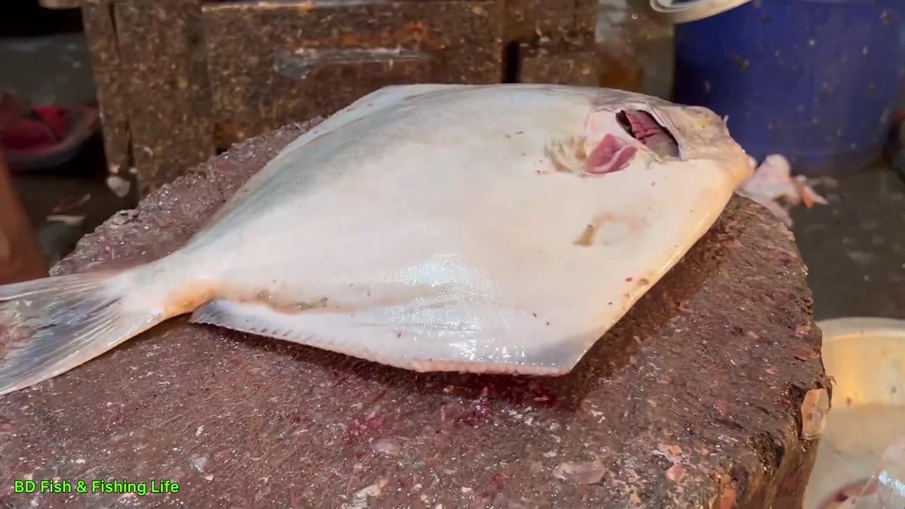 Live In Fish Market 2023 Fillet Fish Cutting