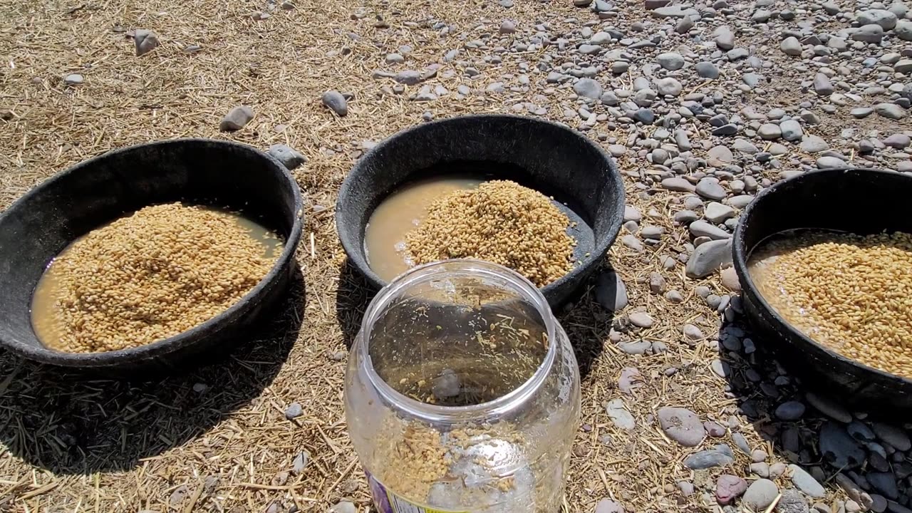 Fermenting Chicken Food