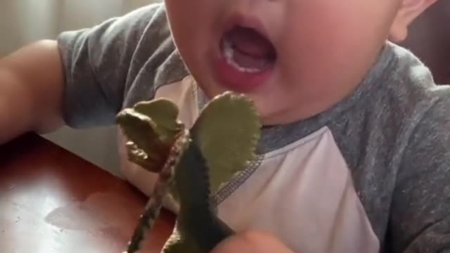 Very cute baby playing with dinosaurs