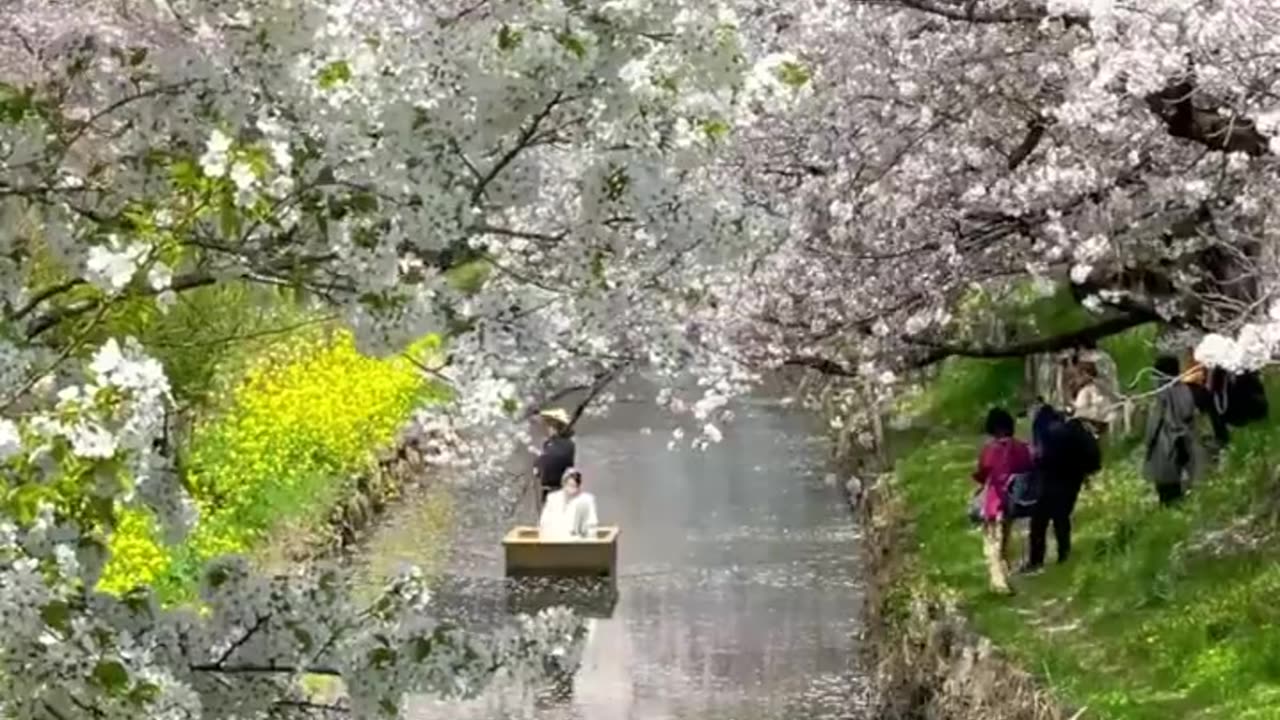 Dreaming Place