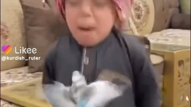 Comedy video