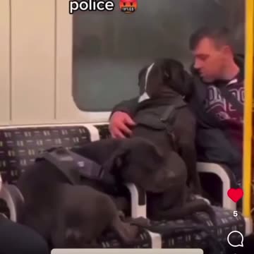 Shared a vid last week of police shooting dogs over a bark and a crybaby called them and no chill