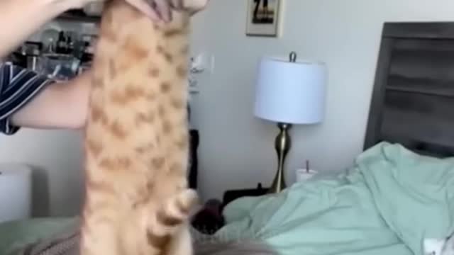 Funny Video #4