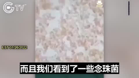 疫苗刺突蛋白可透過，性接觸傳播病毒