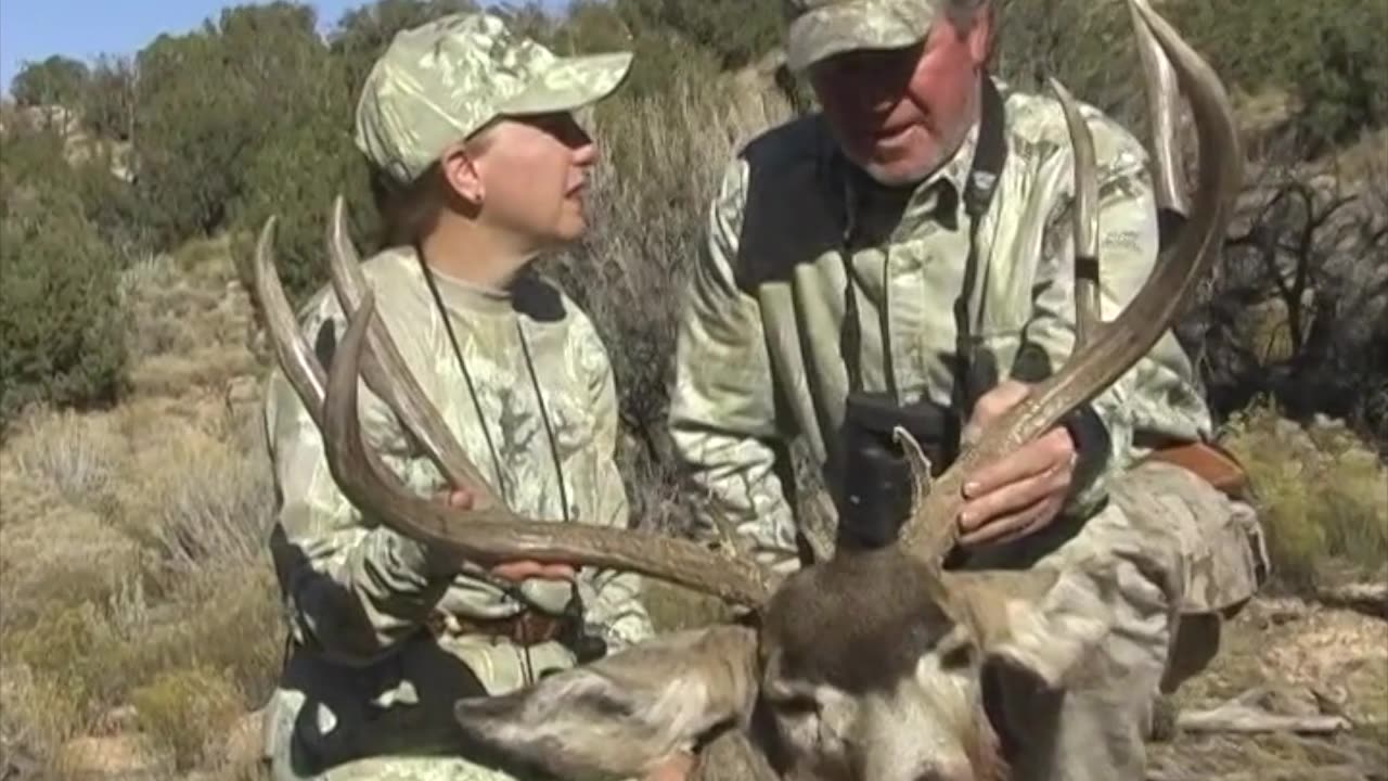 Massive Mule Deer