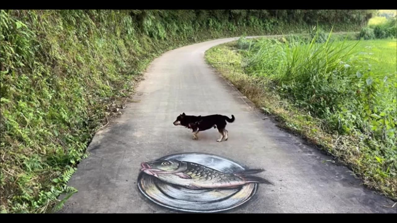 Drawing a fish on the road—what would a dog’s reaction be? #3D