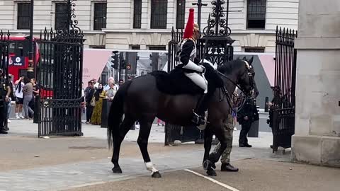 Queen’s Guard Horse Goes Crazy