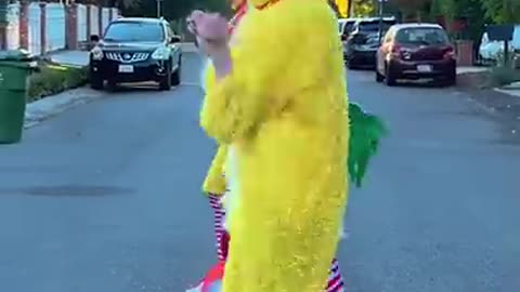 Chicken Dance