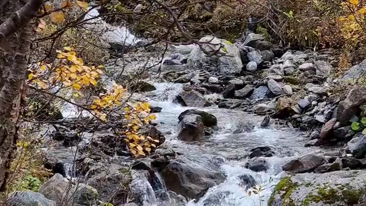 View of nature