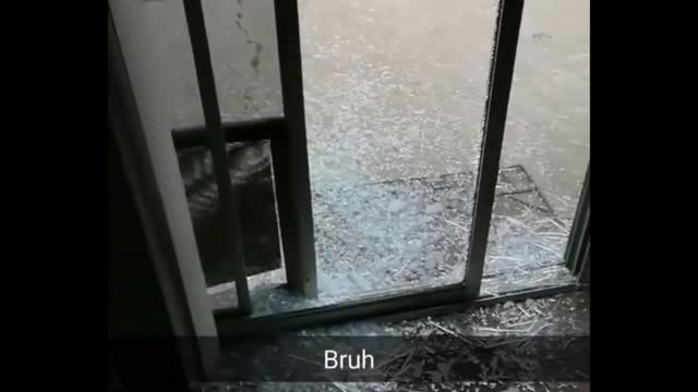Big dog literally breaks the door glass