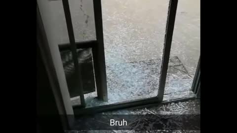 Big dog literally breaks the door glass