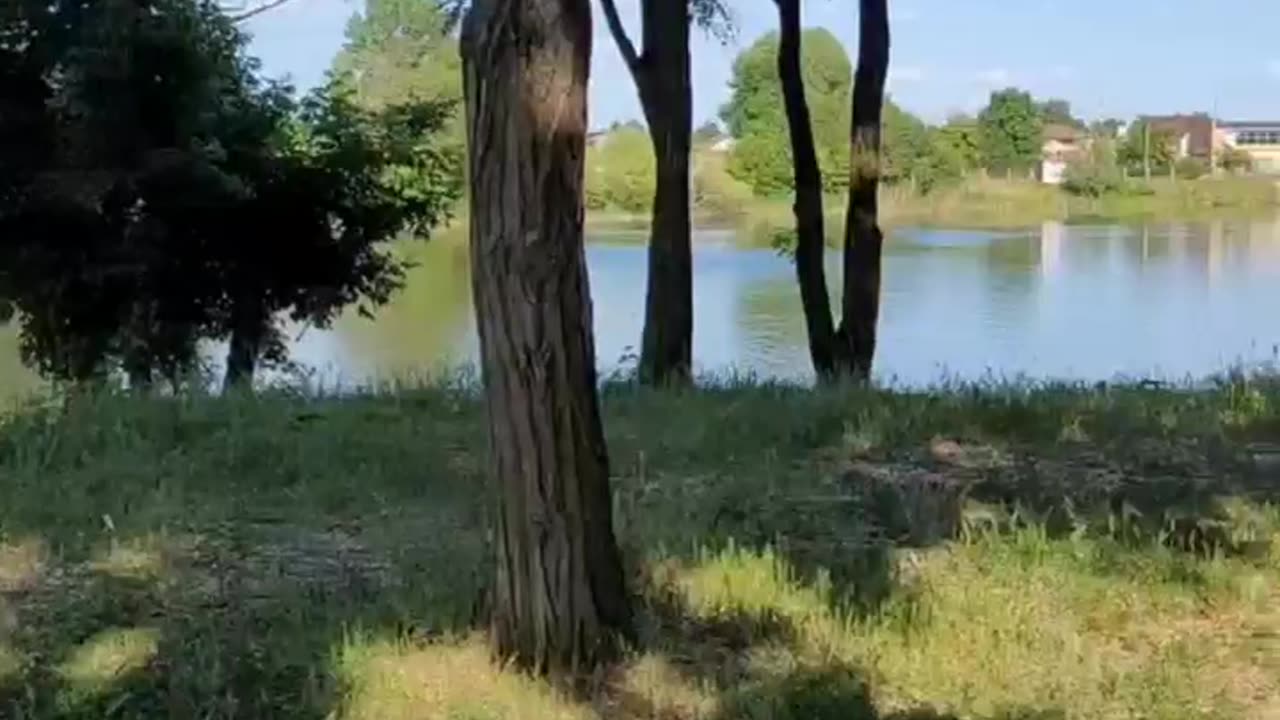 BBQ IN UKRAINE