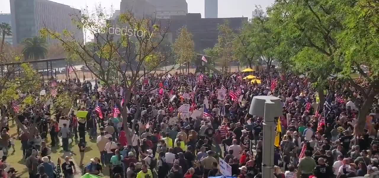 Los Angeles Against J4b Mandates