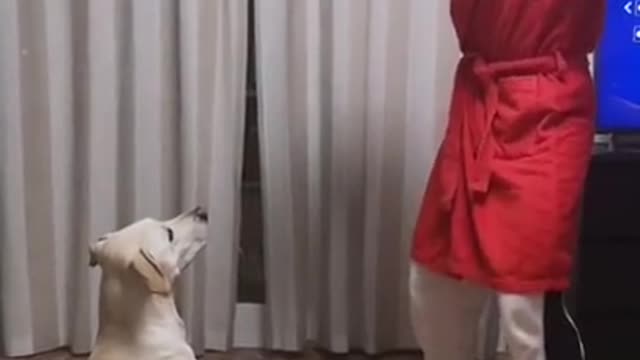 CURIQUITACA CHALLENGE WITH DOG 🐶 😂