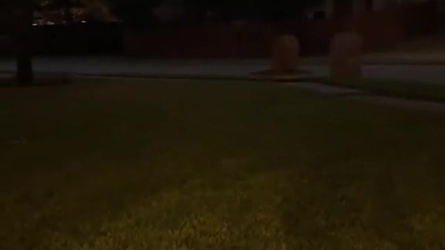 Halloween was not like this when I was a kid where tf these kids at