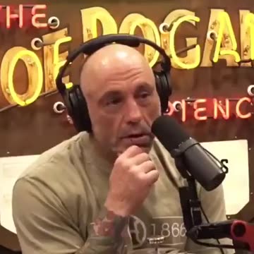 And the Crowd Went Nuts