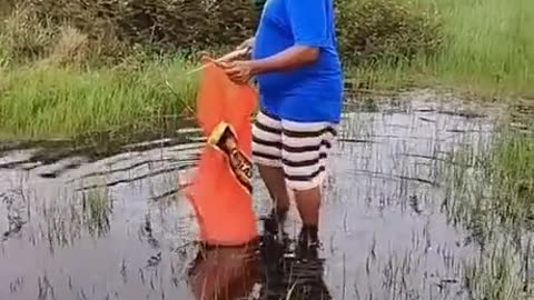 Knife fishing