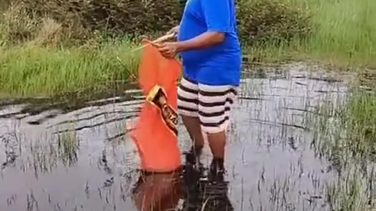 Knife fishing