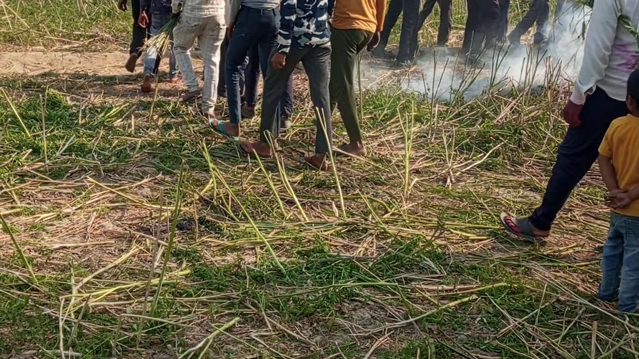 Indian Holi.