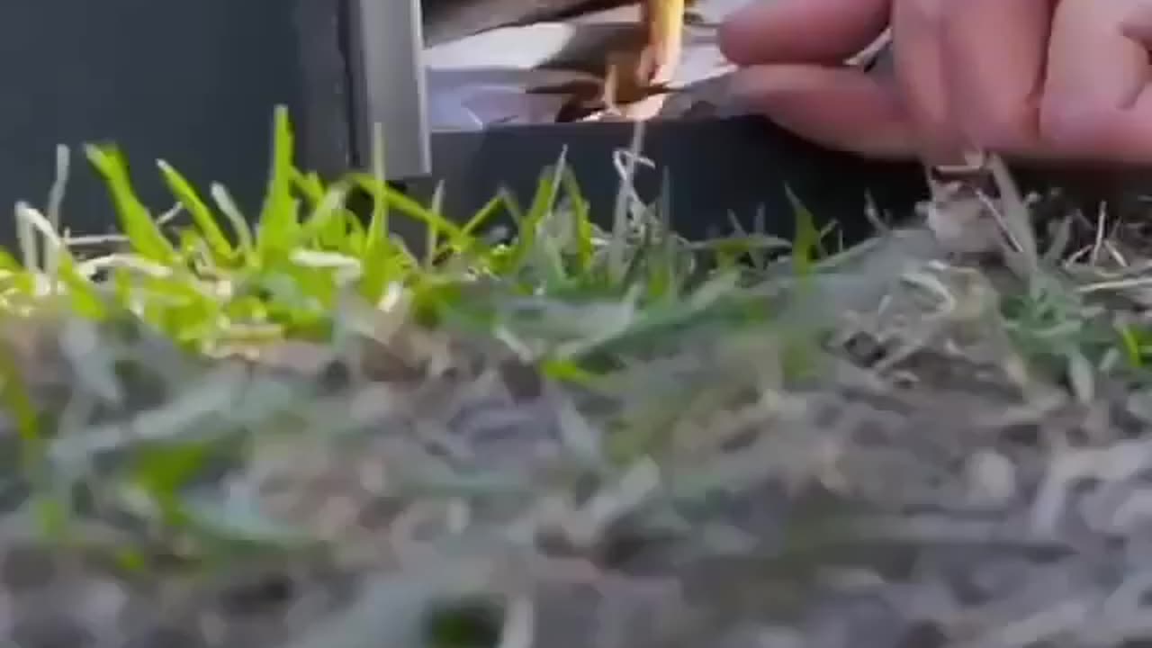 Lifehack How to build a vertical barbeque with your own hands
