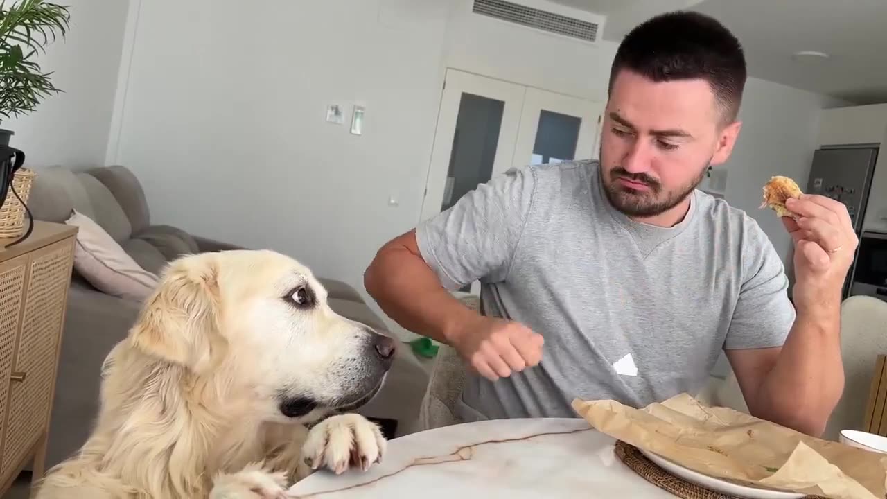 Dogs Eating Food