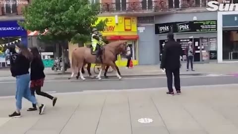 Even the horses have had enough