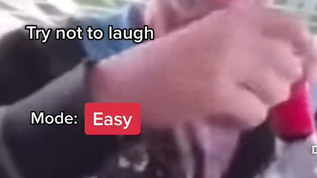 Try not to laugh. Mode:easy