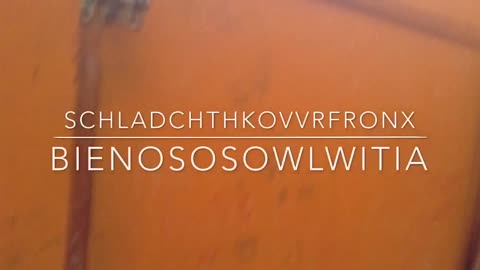 Schladchthkovvrfronx - Bienososowlwitia