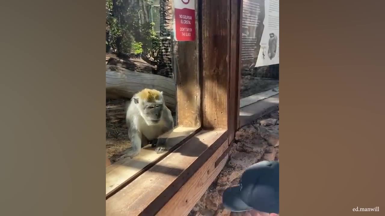 New funny video 2023...